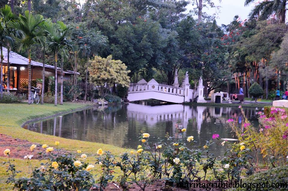 cang mai5
