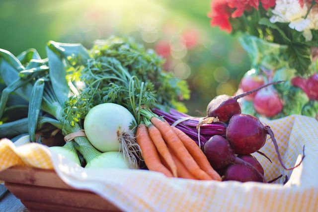PREPORUKA ZA DANAS: Maja Petrović - restoran, šoping mesto, knjiga, trend, recept 4 vegetables 2485055 1280