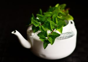 Zasadite sami začinsko bilje! 1 peppermint photo