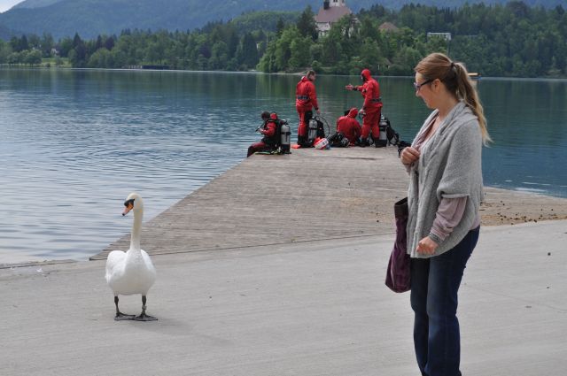 MOJE PUTOVANJE IZ SNOVA: Žana Poliakov - Bled 9 DSC 1049