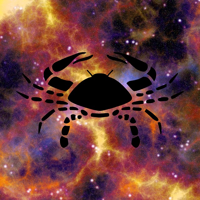 HOROSKOP ZA DECEMBAR 2017. GODINE 1 rak