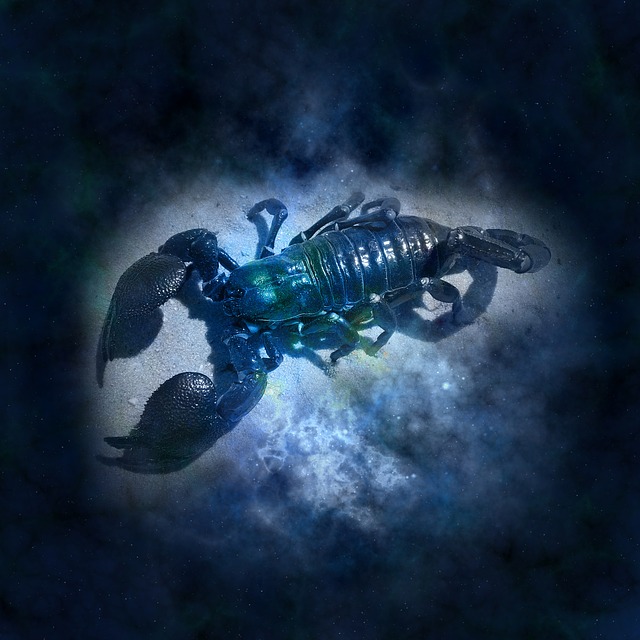 horoskop skorpija 2