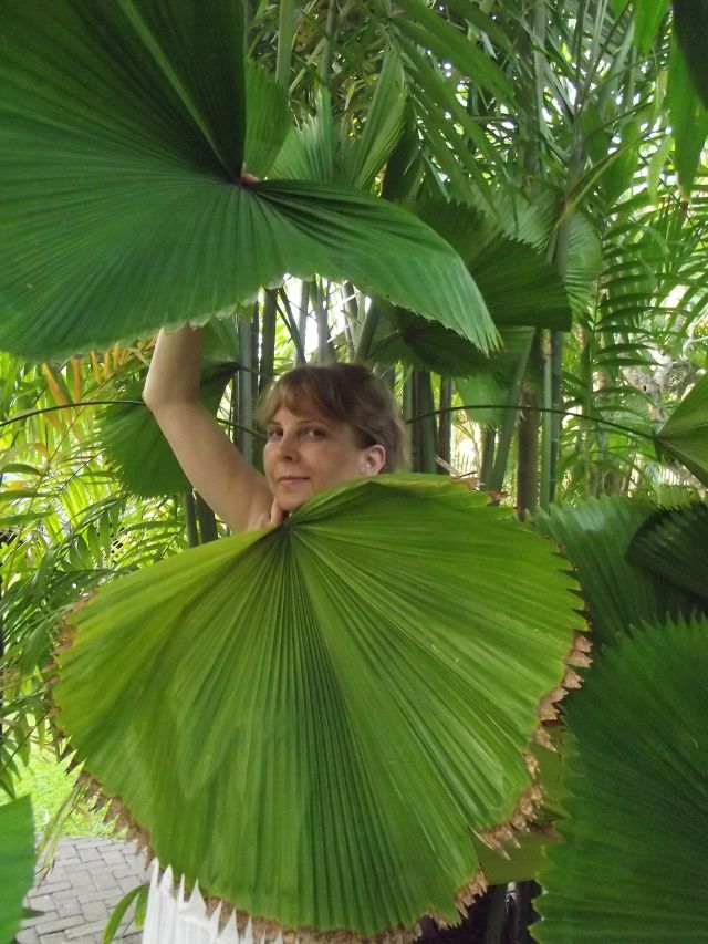 Bali 07