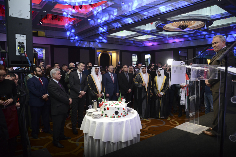 UAE 31 1