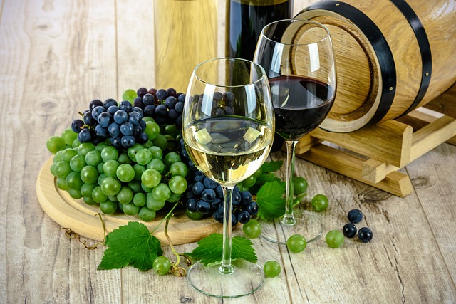 PREPORUKA NEDELJE: Srna Lango - serija, film, vino, recept, predstava 4 vino