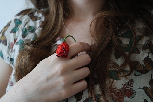 flora 1836314 340