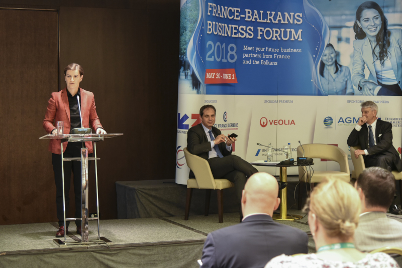 Francusko Balkanski biznis forum 15