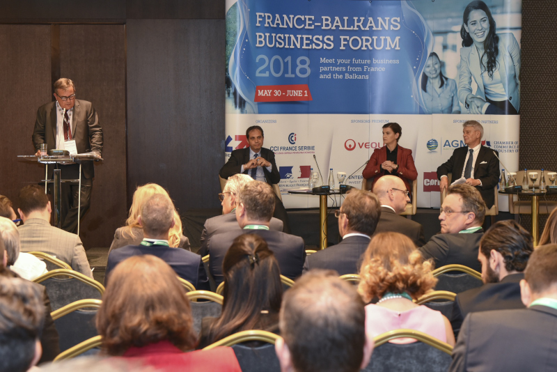 Francusko Balkanski biznis forum 6