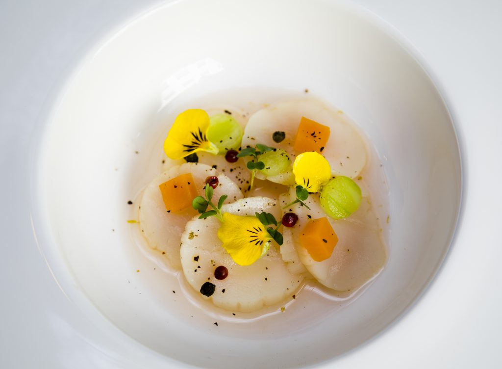 NEW MENU 19