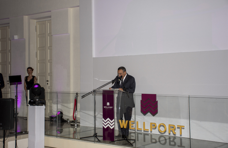 WELLPORT 20