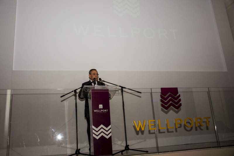 WELLPORT 22