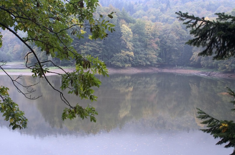 CRNA GORA 2018: Spremno dočekuje goste iz celog sveta 2 nacionalni park biogradska gora