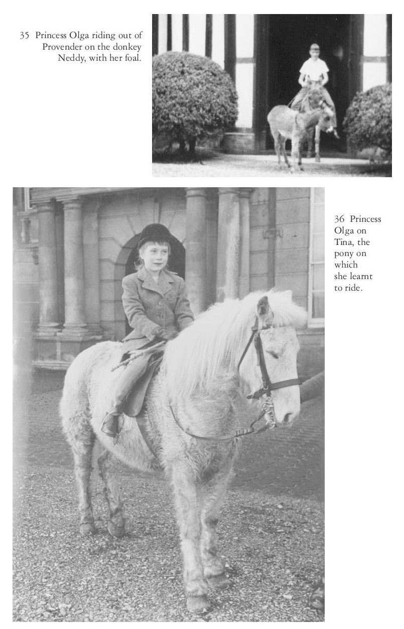 Princess Olga plates page 020