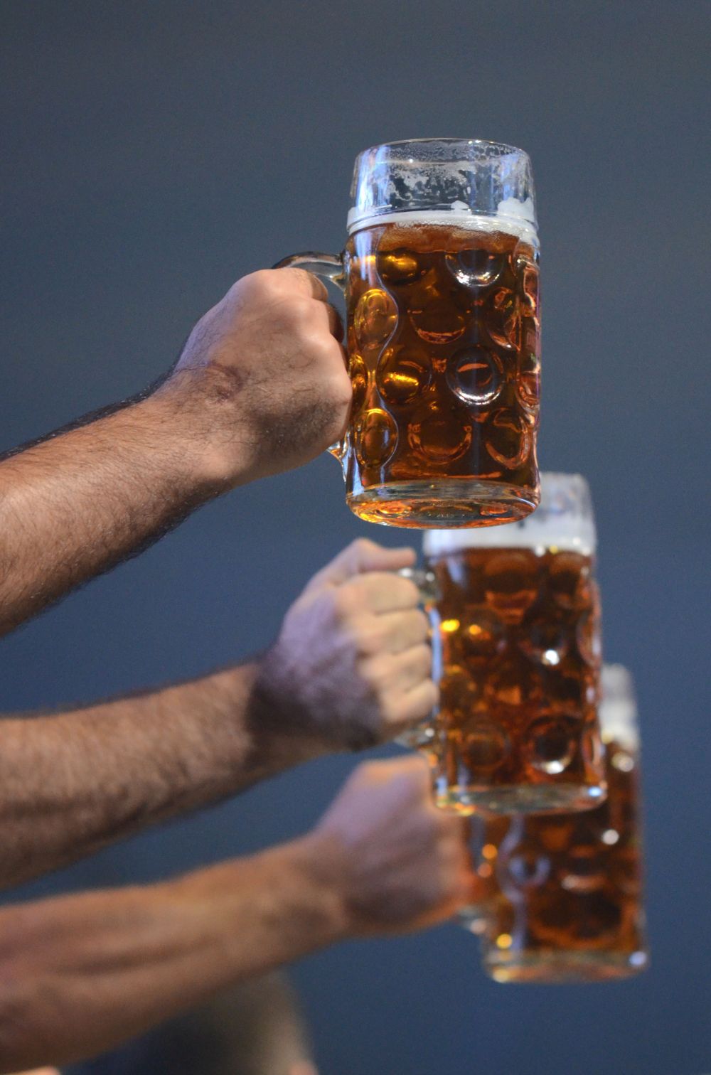NOVOSADSKI OKTOBERFEST 2018 - čist hedonizam i uživanje za sva čula! 12 DSC 8350 2 1
