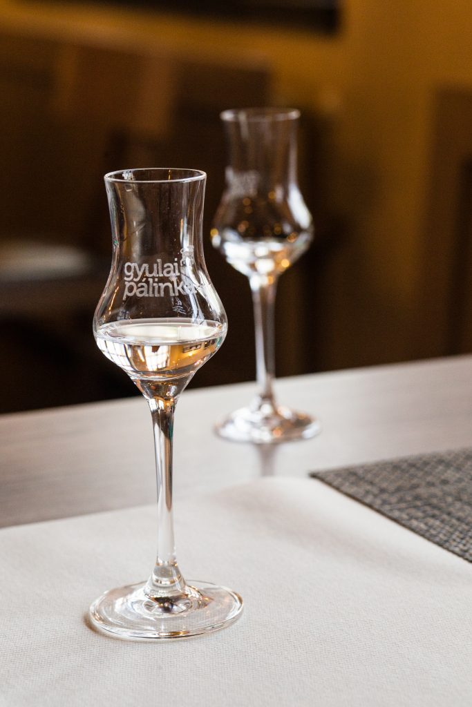 Banja Đula - grad cveća i termalnih voda 13 Rakija Palinka