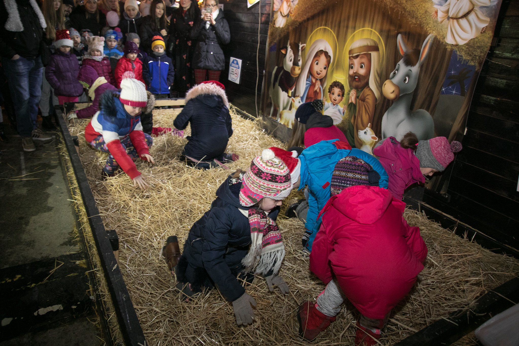 Hor "Iskrice" i bend 5+ danas na Novosadskom Winter Festu 9 HADR6686