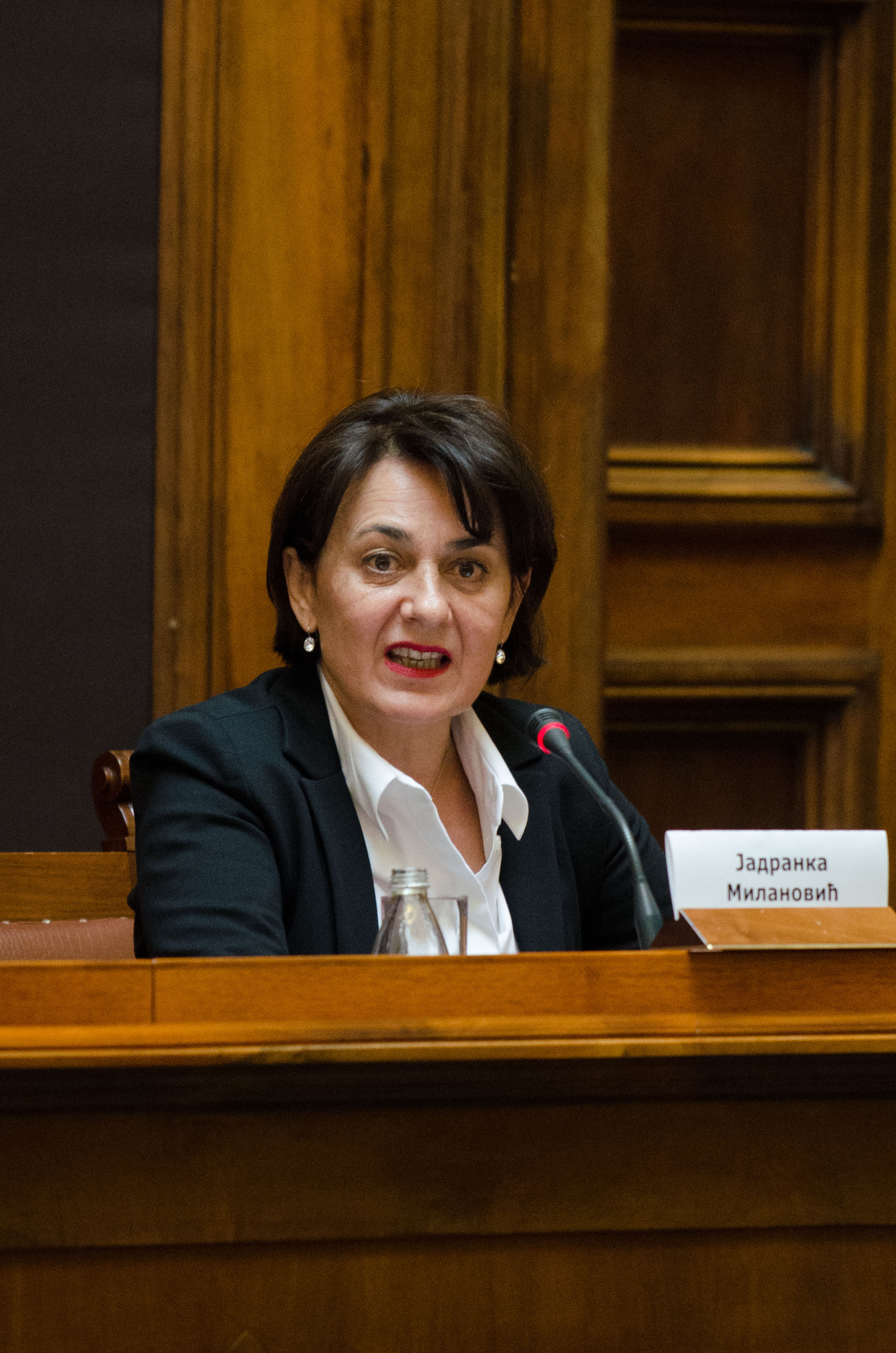 Statusnom konferencijom na Dan žena počela nacionalna kampanja "Žene žive i na selu" 7 DSC 9630