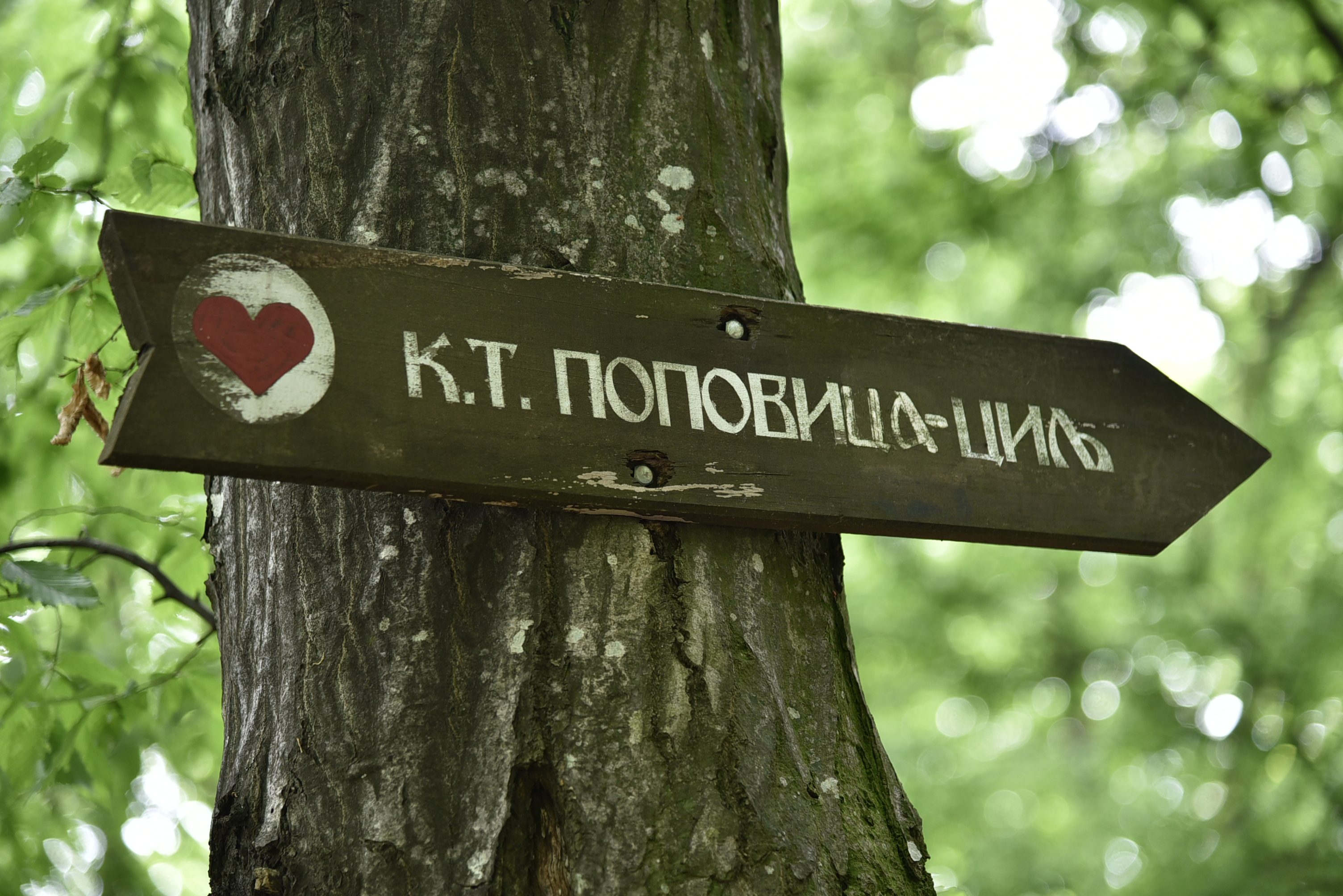 008 179.DSC 8873