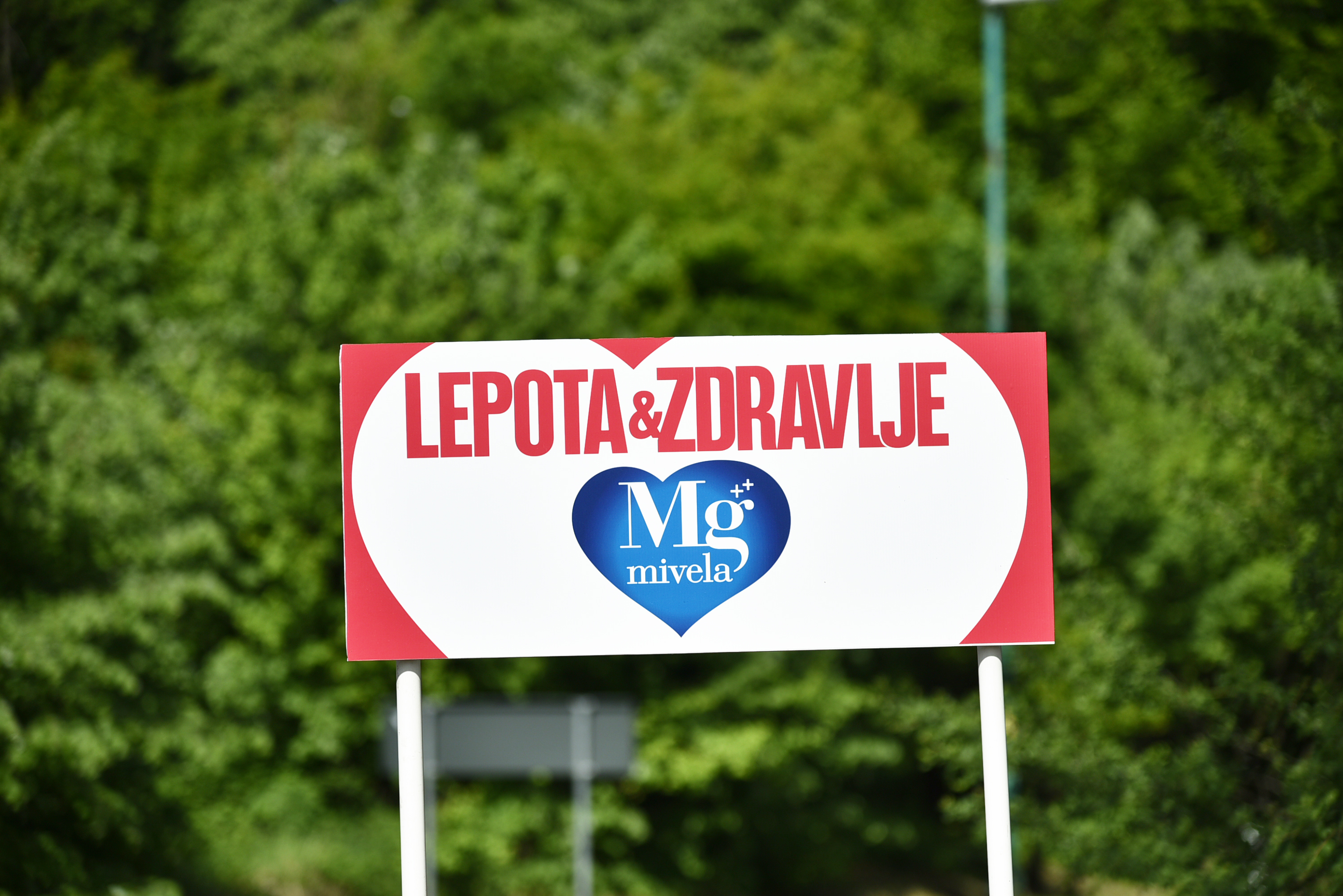 29.DSC 8394