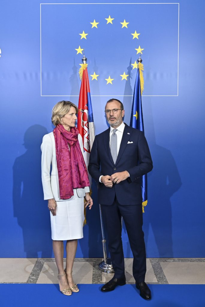 U organizaciji Delegacije Evropske unije u Srbiji upriličen prijem povodom Dana Evrope 5 Dan Evrope 2019 1