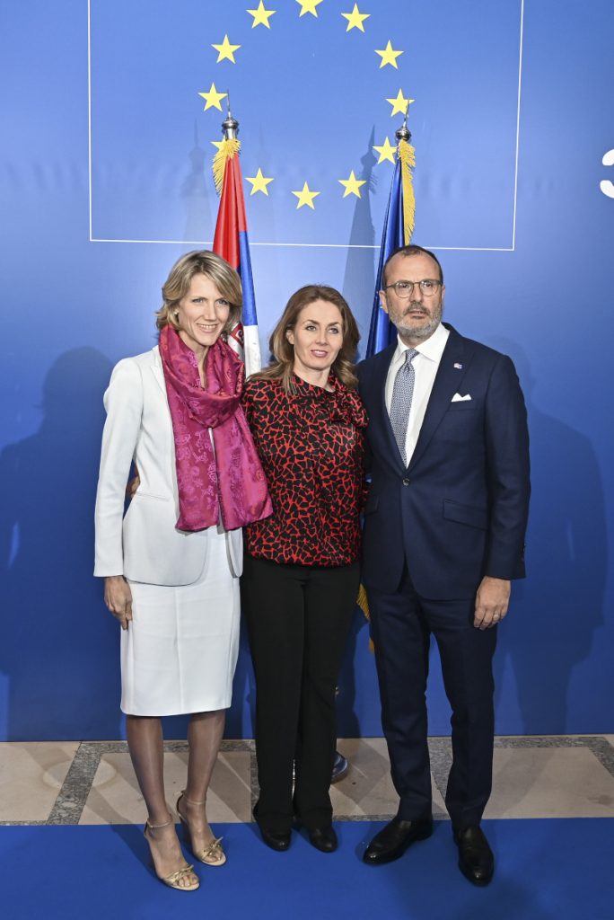 U organizaciji Delegacije Evropske unije u Srbiji upriličen prijem povodom Dana Evrope 24 Dan Evrope 2019 23