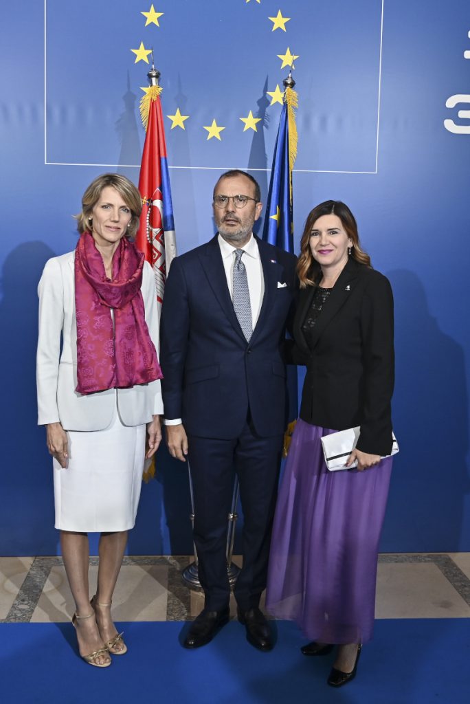 U organizaciji Delegacije Evropske unije u Srbiji upriličen prijem povodom Dana Evrope 41 Dan Evrope 2019 40