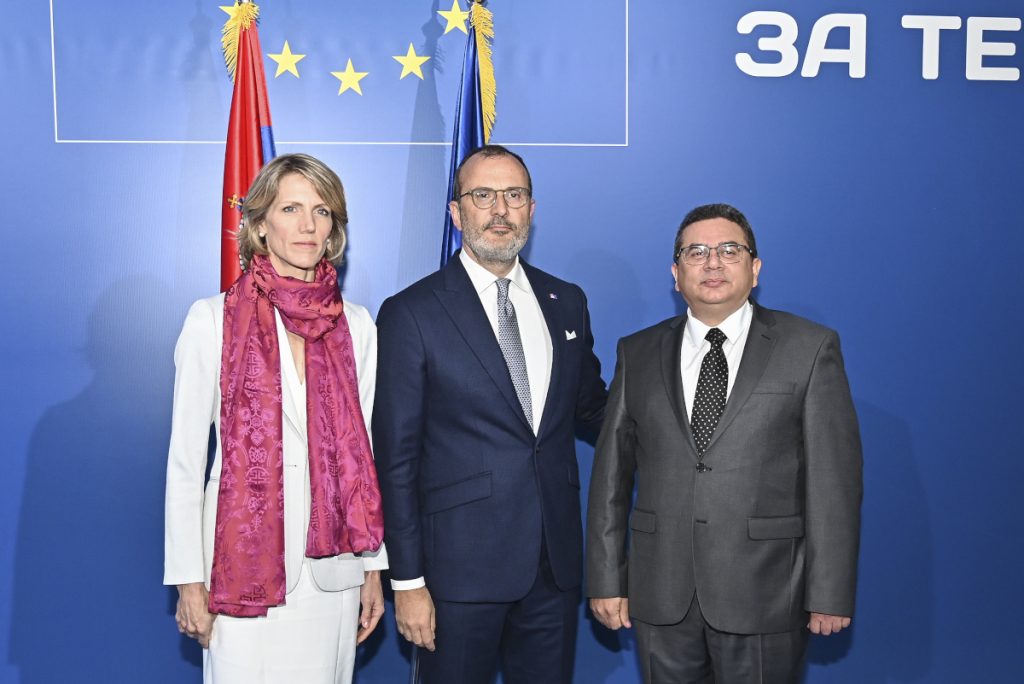U organizaciji Delegacije Evropske unije u Srbiji upriličen prijem povodom Dana Evrope 10 Dan Evrope 2019 9