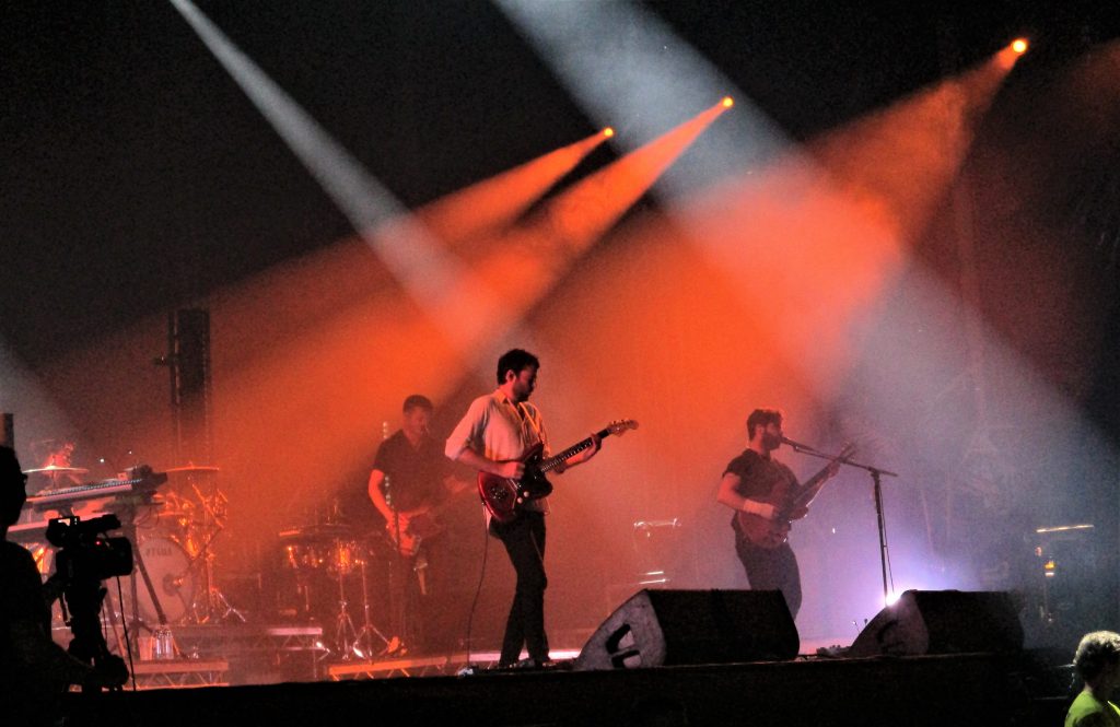 09 Foals Zika