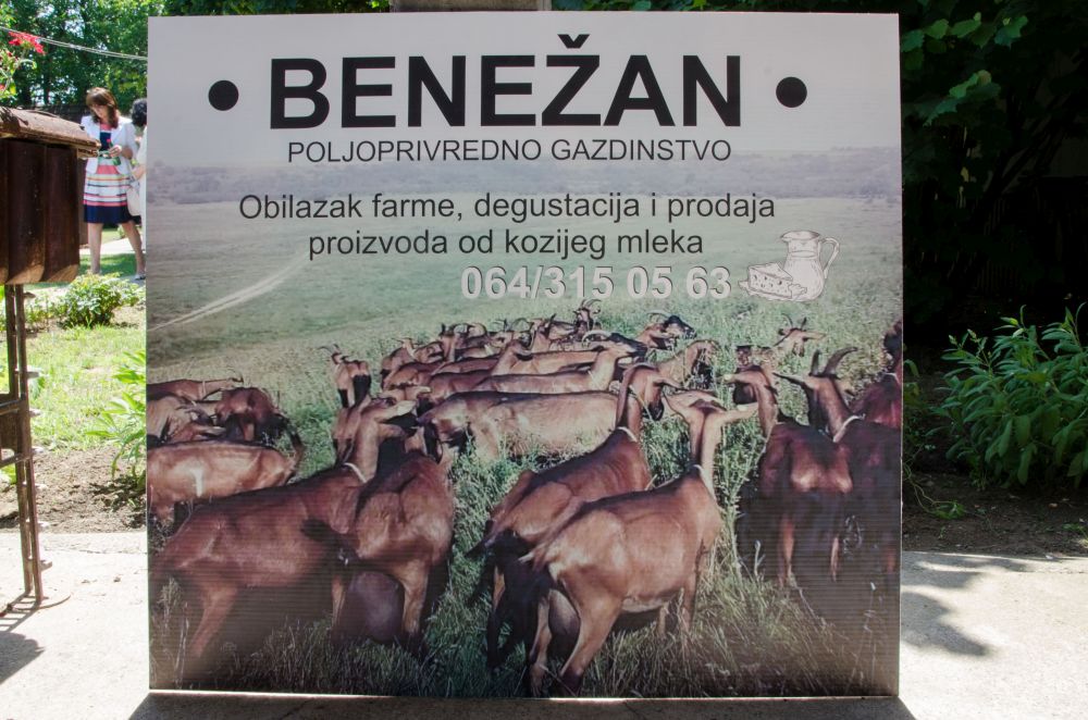 Održana tribina "Žene žive i na selu" u Sremskoj Mitrovici 42 DSC 0316