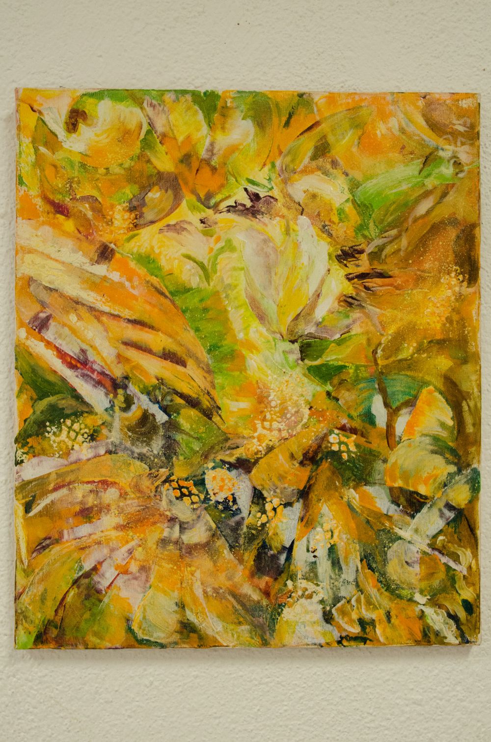 DSC 8630