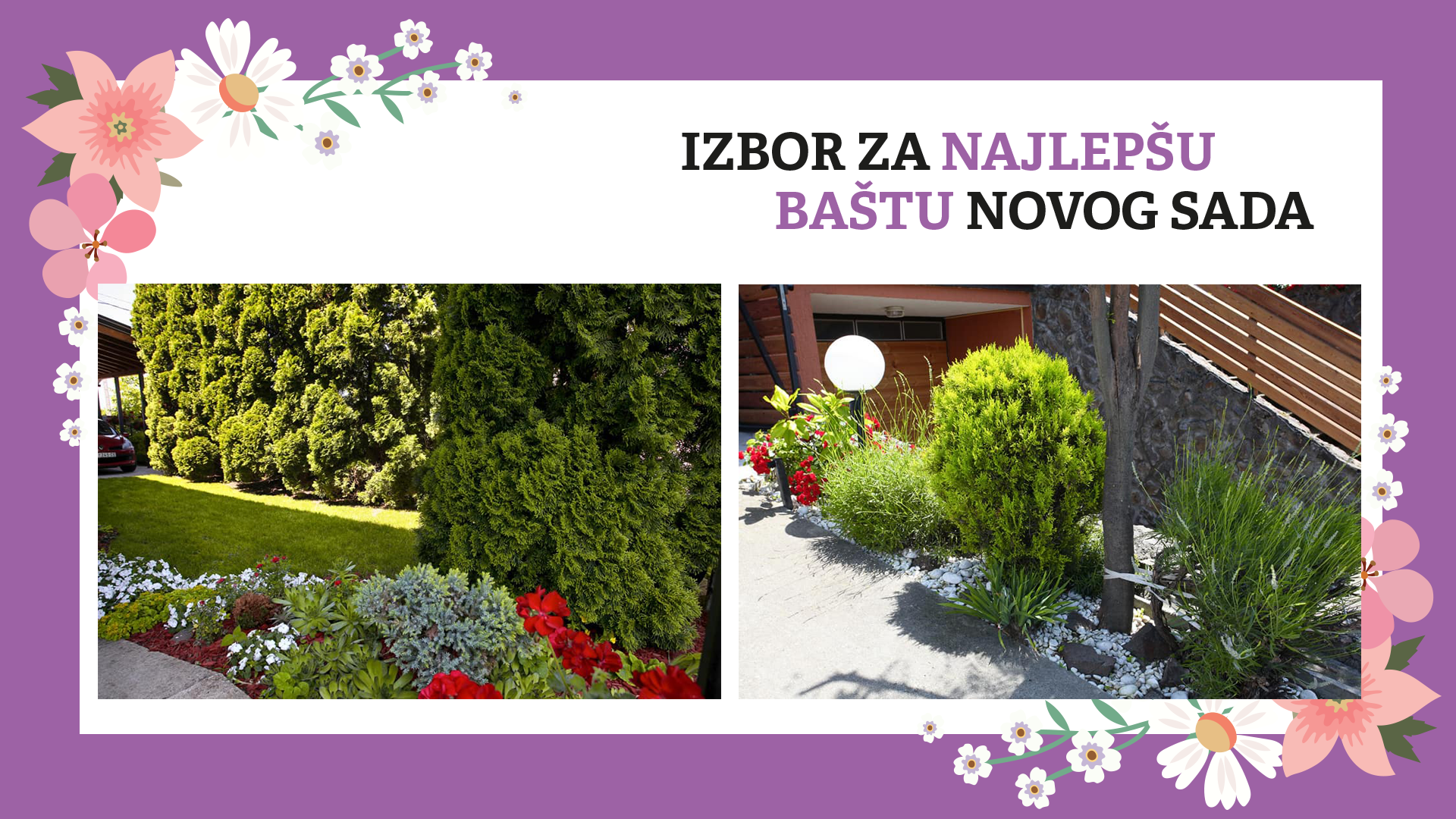 Dodeljene nagrade pobednicima konkursa "Najlepša bašta Novog Sada" 43 ElizabetaCarevic2