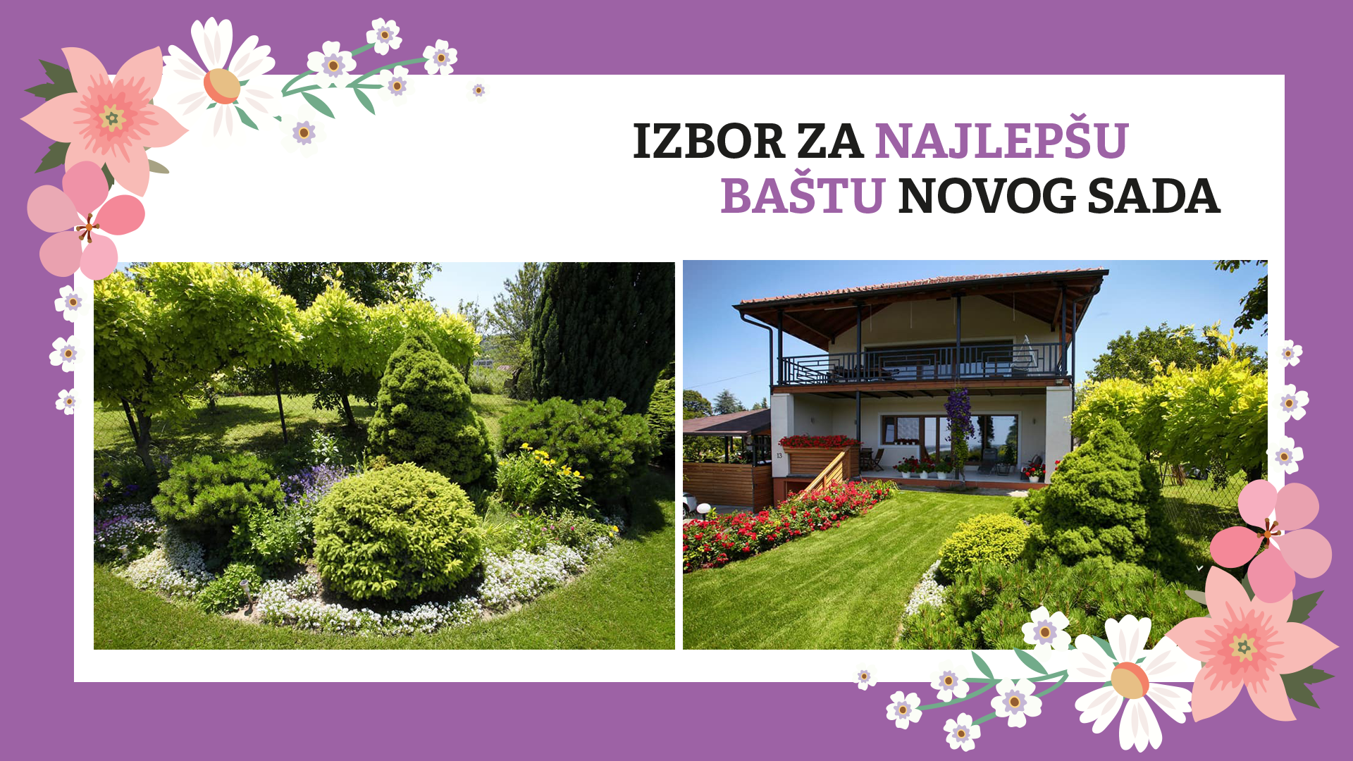 Dodeljene nagrade pobednicima konkursa "Najlepša bašta Novog Sada" 44 ElizabetaCarevic3