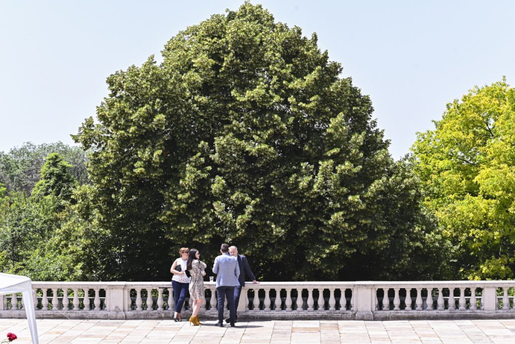 Rođ. kraljice Elizabete 4