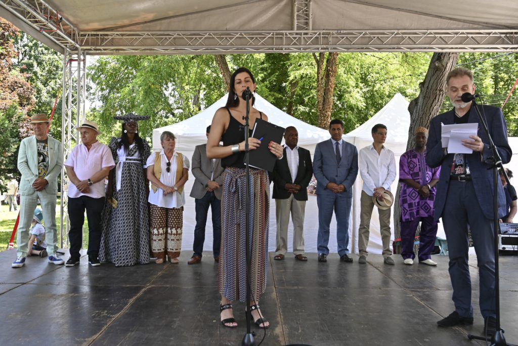 Afro festival 1