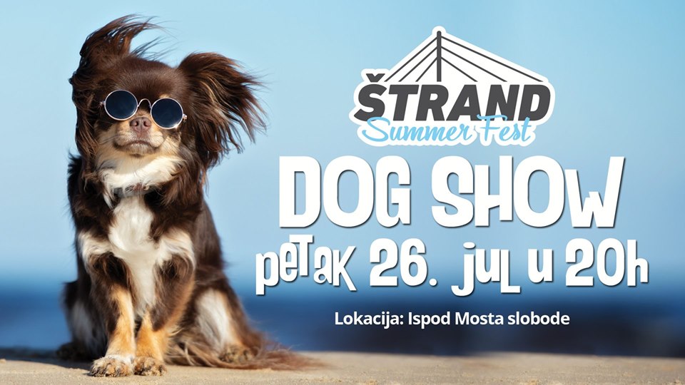 Nastup dečijeg hora "Bubamara" i filmsko veče na Štrand Summer Festu 19 dog show 1