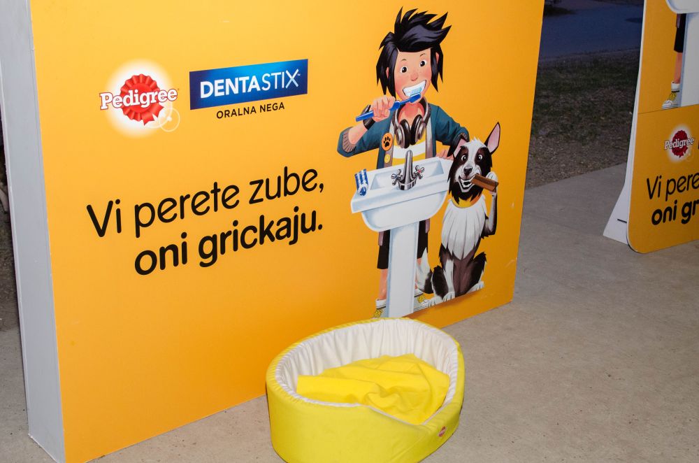 Drugi "Dog Show" na Štrand Summer Festu 34 DSC 5646