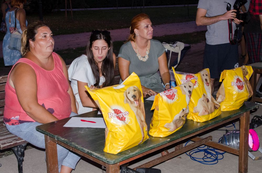 Drugi "Dog Show" na Štrand Summer Festu 35 DSC 5652
