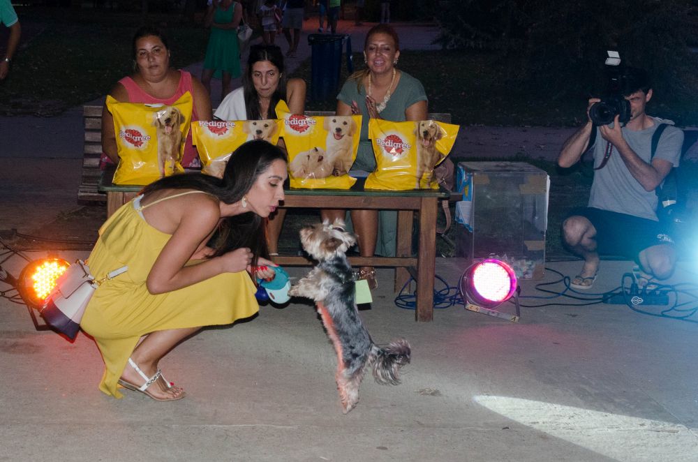 Drugi "Dog Show" na Štrand Summer Festu 36 DSC 5659