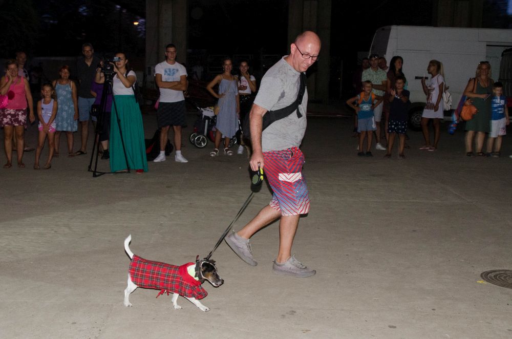 Drugi "Dog Show" na Štrand Summer Festu 38 DSC 5668