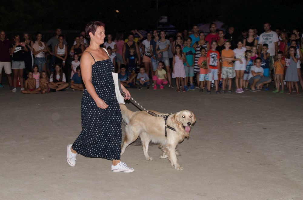 Drugi "Dog Show" na Štrand Summer Festu 40 DSC 5692