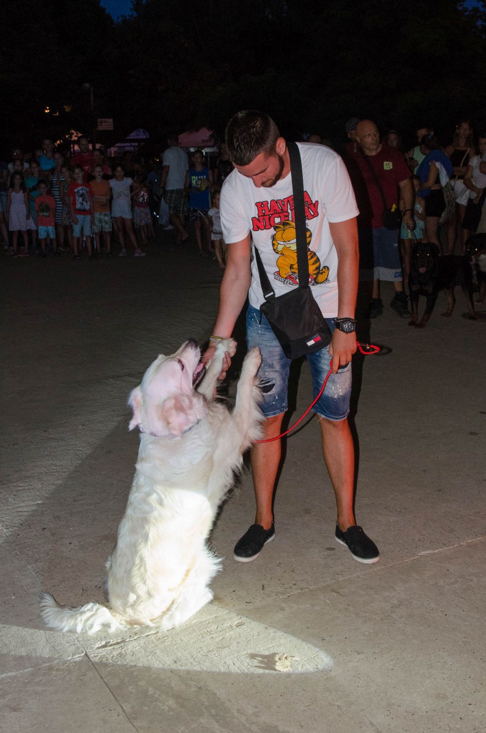 Drugi "Dog Show" na Štrand Summer Festu 41 DSC 5705