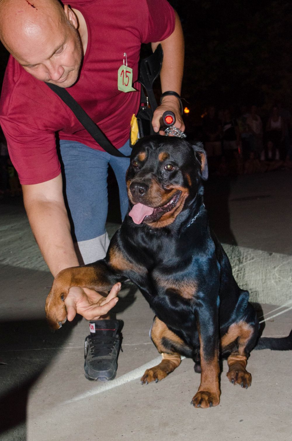 Drugi "Dog Show" na Štrand Summer Festu 42 DSC 5710