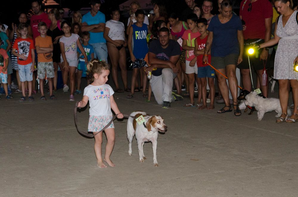 Drugi "Dog Show" na Štrand Summer Festu 43 DSC 5716
