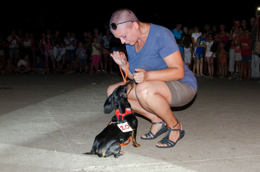 Drugi "Dog Show" na Štrand Summer Festu 45 DSC 5736