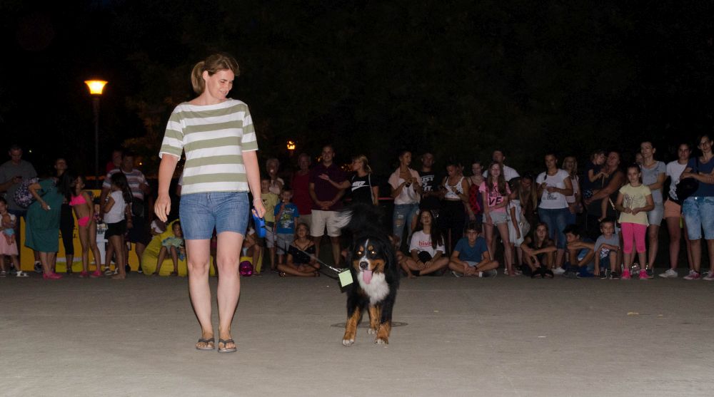 Drugi "Dog Show" na Štrand Summer Festu 46 DSC 5741