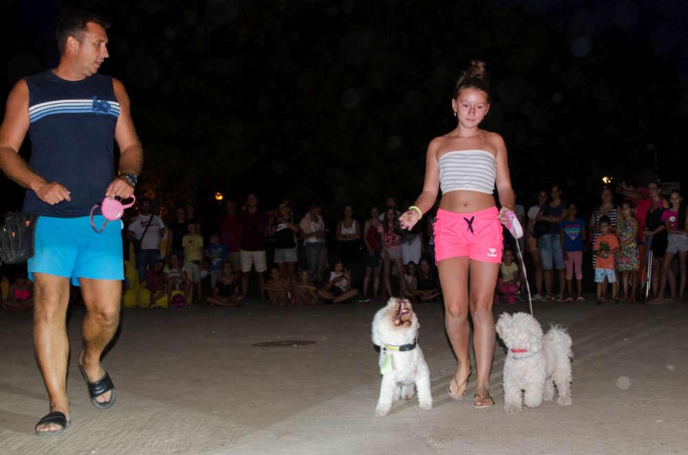 Drugi "Dog Show" na Štrand Summer Festu 47 DSC 5752