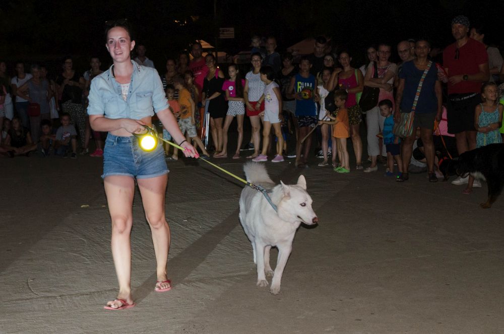 Drugi "Dog Show" na Štrand Summer Festu 48 DSC 5756