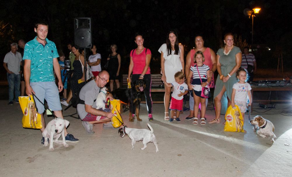 Drugi "Dog Show" na Štrand Summer Festu 50 DSC 5817
