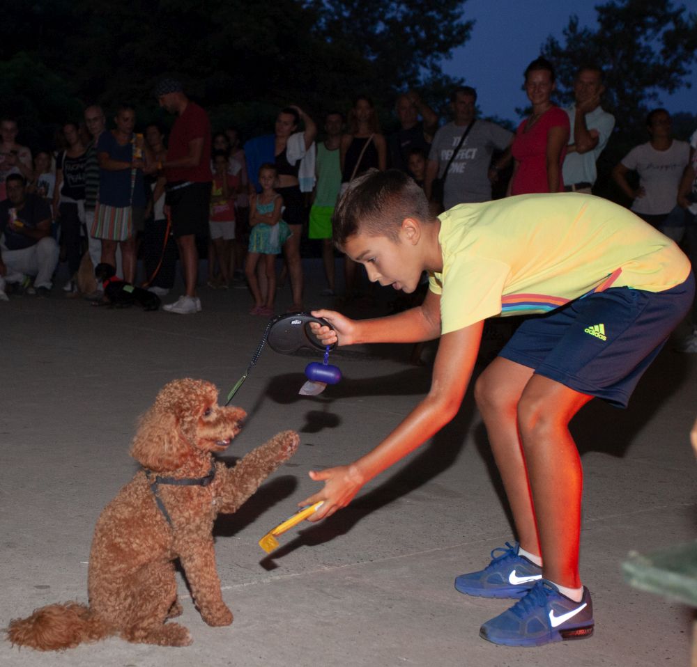 Drugi "Dog Show" na Štrand Summer Festu 23 MG 1023