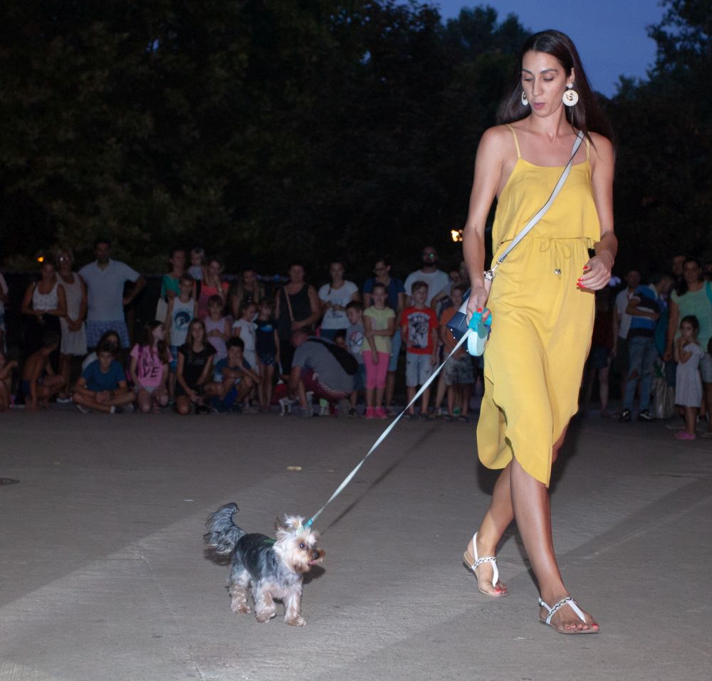 Drugi "Dog Show" na Štrand Summer Festu 24 MG 1027